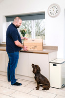 Honey's Real Dog Food - New delivery box and packaging, product shoot, Pewsey photoshoot