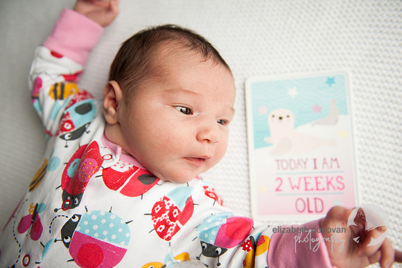 cute baby two weeks old Baby photo shoot in the home natural photography with little one family lifestyle swindon wiltshire
