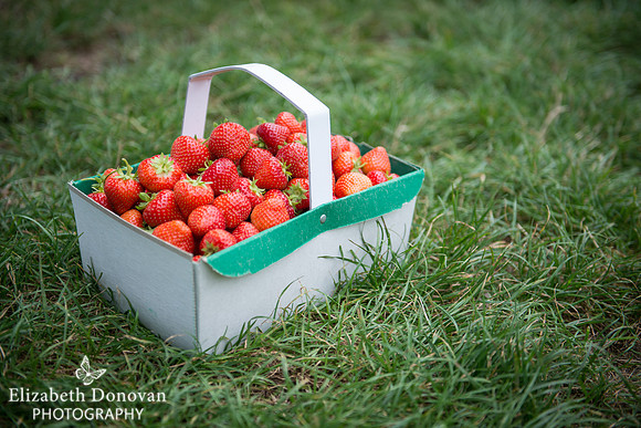 brand photography by elizabeth; brand photographer swindon, brand photographer wiltshire, swindon commercial photography, wiltshire commercial photography, wiltshire business photography, lifestyle business photography, elizabeth donovan photogaphy
