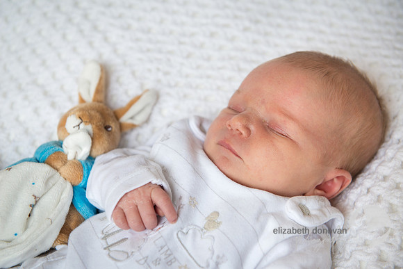 newborn baby and favourite teddy Baby photo shoot in the home natural photography with little one family lifestyle swindon wiltshire