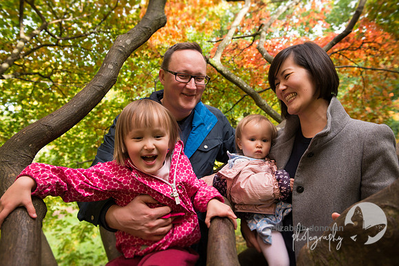 elizabeth donovan photography outdoor photo shoot in the trees autumn swindon in the colourful leave
