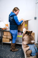 Murphy's Doggy Deli - brand photography, social media and content photoshoot, Cotswolds, Wiltshire
