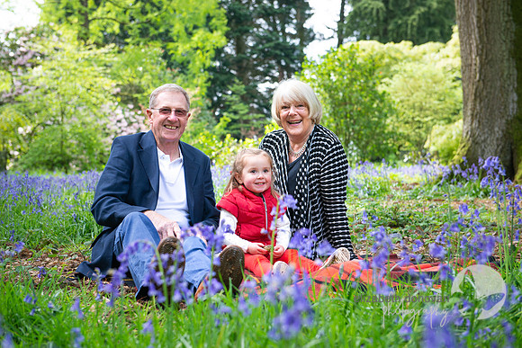 spring bluebells relaxed outdoor family portrait in wiltshire elizabeth donovan photography cute family