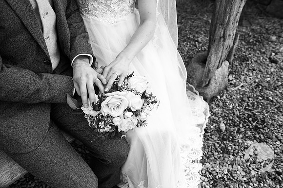 bride and groom holding hands elizabeth donovan photography