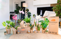 Fays Flowers - New Product Range 2024 - Florist Flower Plant Lifestyle Product Photography, Cheltenham, Gloucestershire