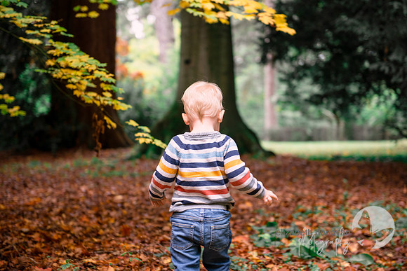cute boy walking in the trees elizabeth donovan photography outdoor photo shoot in the trees autumn