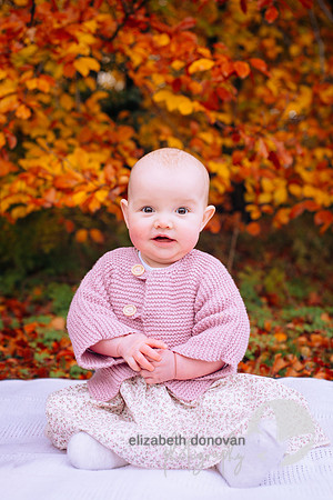 elizabeth donovan photography outdoor photo shoot in the trees autumn baby playing in leaves lydiard