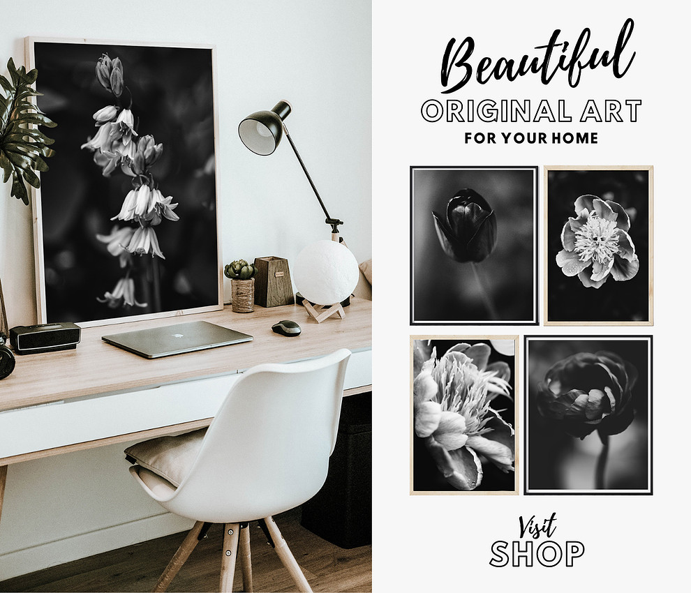 original art and photography by elizabeth donovan photographer swindon wiltshire visit shop