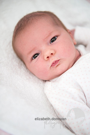 "elizabeth donovan photography", "portrait photographer swindon",  "award winning photographer swindon", "baby portrait swindon", "baby portrait wiltshire", "baby photoshoot swindon", "baby photoshoot swindon",  "baby photographer wiltshire", "baby portrait swindon", "fun baby portrait swindon"; "baby portrait at home", "baby photographer swindon", "newborn portrait swindon", "newborn portrait wiltshire", "newborn photoshoot swindon", "newborn photoshoot swindon",  "newborn photographer wiltshire", "newborn portrait swindon", "fun newborn portrait swindon"; "newborn portrait at home", "newborn photographer swindon",